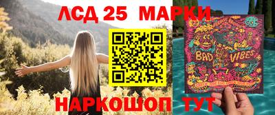 сатива Краснодар