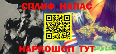 гидропоника Краснознаменск
