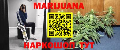 гидропоника Краснознаменск