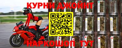 сатива Краснодар