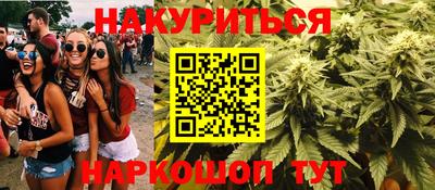 гидропоника Краснознаменск